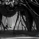 Illustration for article titled The Art Of iStar Wars: Battlefront II/i